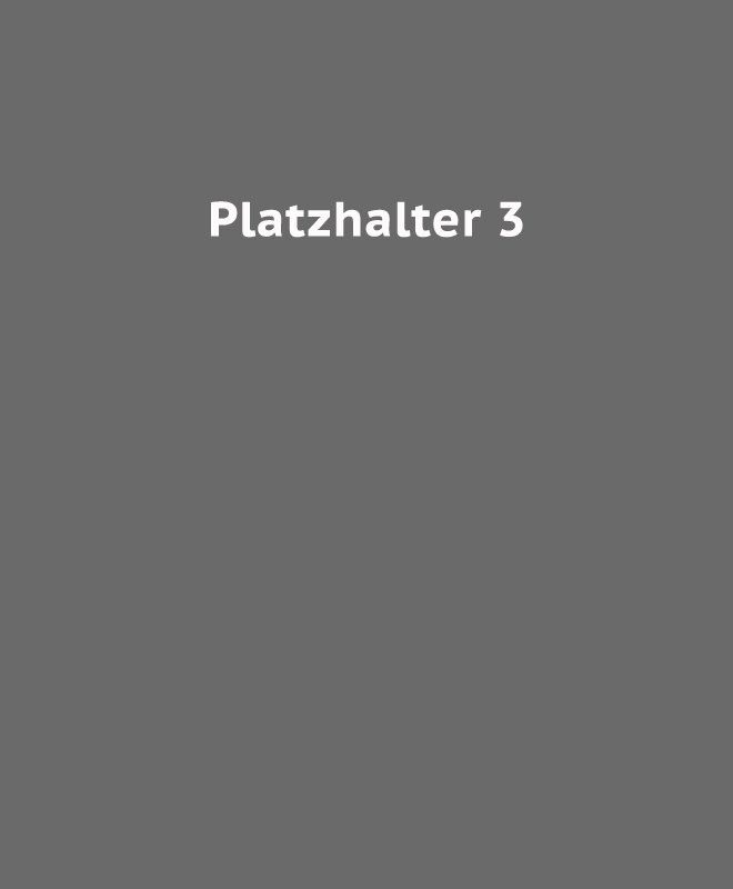 platzhalter-3