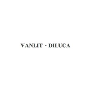 Galerie VANLIT - DILUCA ART